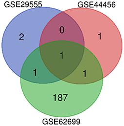 Exploration of the Role of Serine Proteinase Inhibitor A3 in Alcohol Dependence Using Gene Expression Omnibus Database